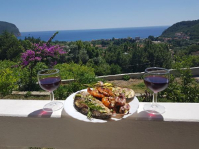 Vila Pogled